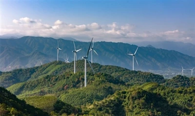 How Is Wind Energy Expansion Driving Domestic Carbon Fiber Demand?